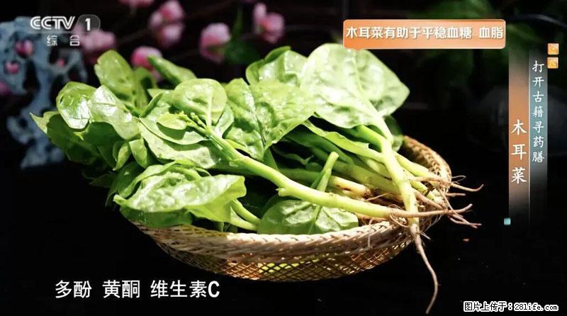 比牛奶补钙还厉害!凉血解毒、稳血糖...这菜冬天必吃,很多人却当草 - 连云港生活资讯 - 连云港28生活网 lyg.28life.com