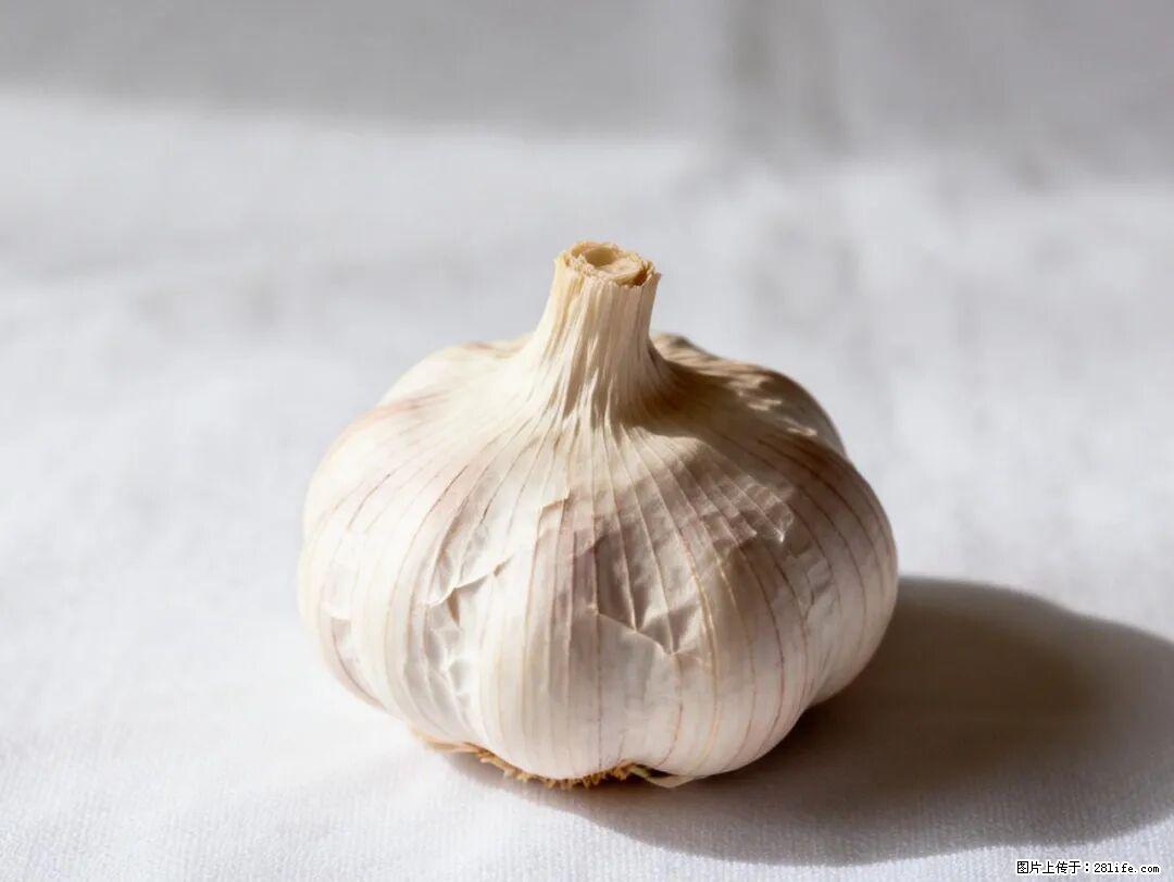 关于大蒜，除了“天然抗生素”，这4个谣言更该警惕! - 连云港生活资讯 - 连云港28生活网 lyg.28life.com