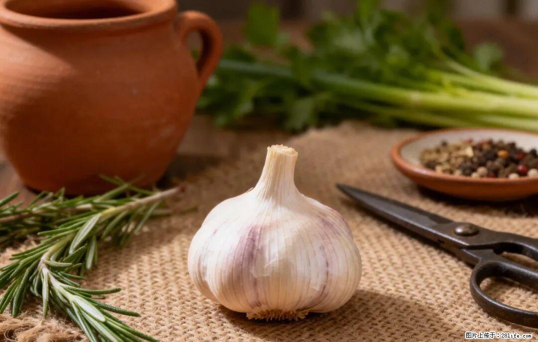 关于大蒜，除了“天然抗生素”，这4个谣言更该警惕! - 连云港生活资讯 - 连云港28生活网 lyg.28life.com