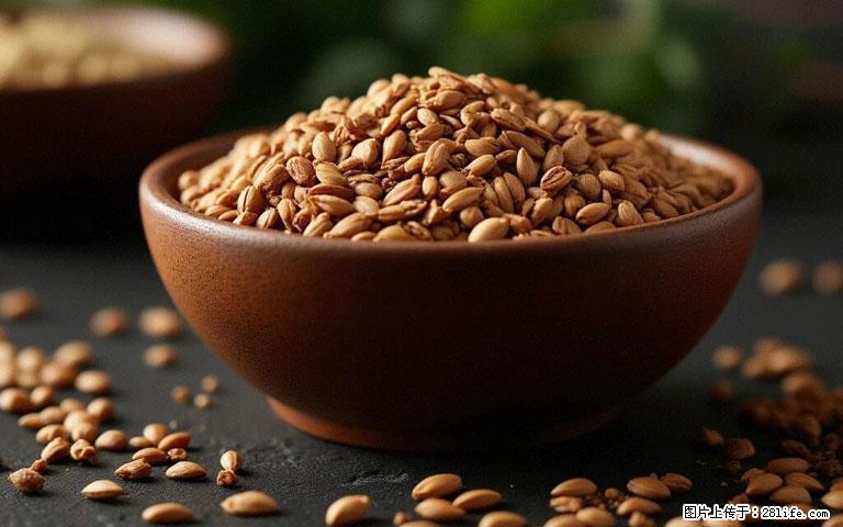 这三苦是三高“克星”，心血管干净不易堵！每天吃一点，指标慢慢降下来~ - 连云港生活资讯 - 连云港28生活网 lyg.28life.com